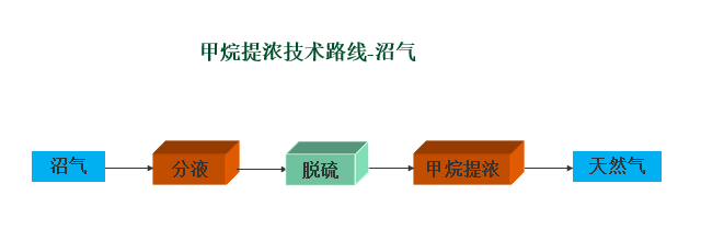 变压吸附法沼气提浓甲烷(图1)